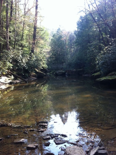 Clifty Wilderness  - 20